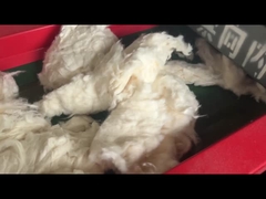 800F モデル 6mm スクリーンホール,綿の切断機,切断機粉砕機